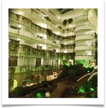 DM 5-Tues-Hotel Atrium Nightime - Denis McAllister